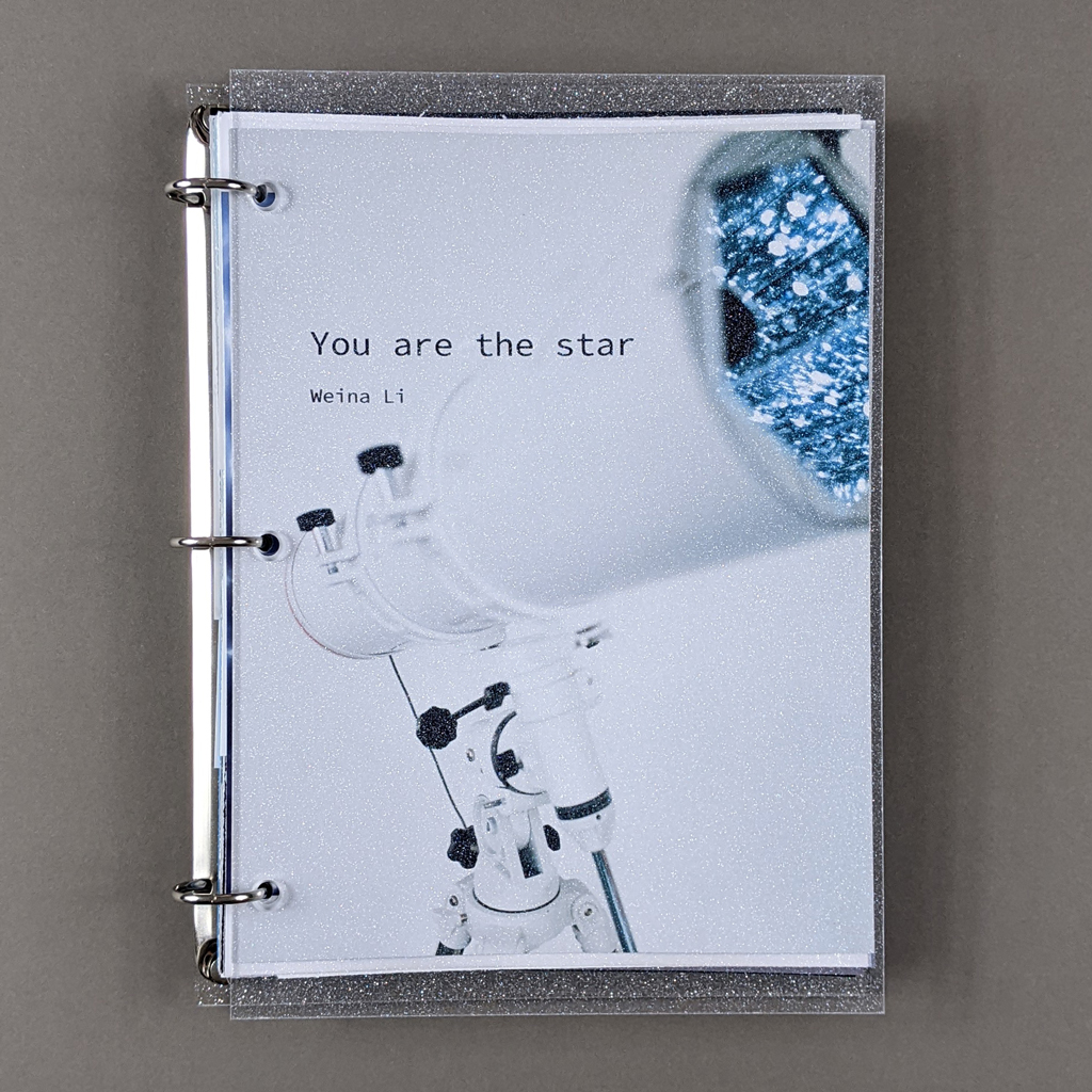 "You are the star" front cover. Title text is set over a photograph looking down the lens of a telescope filled with fiber optic lights. The book is 3-ring bound with glittery clear acrylic covers. 