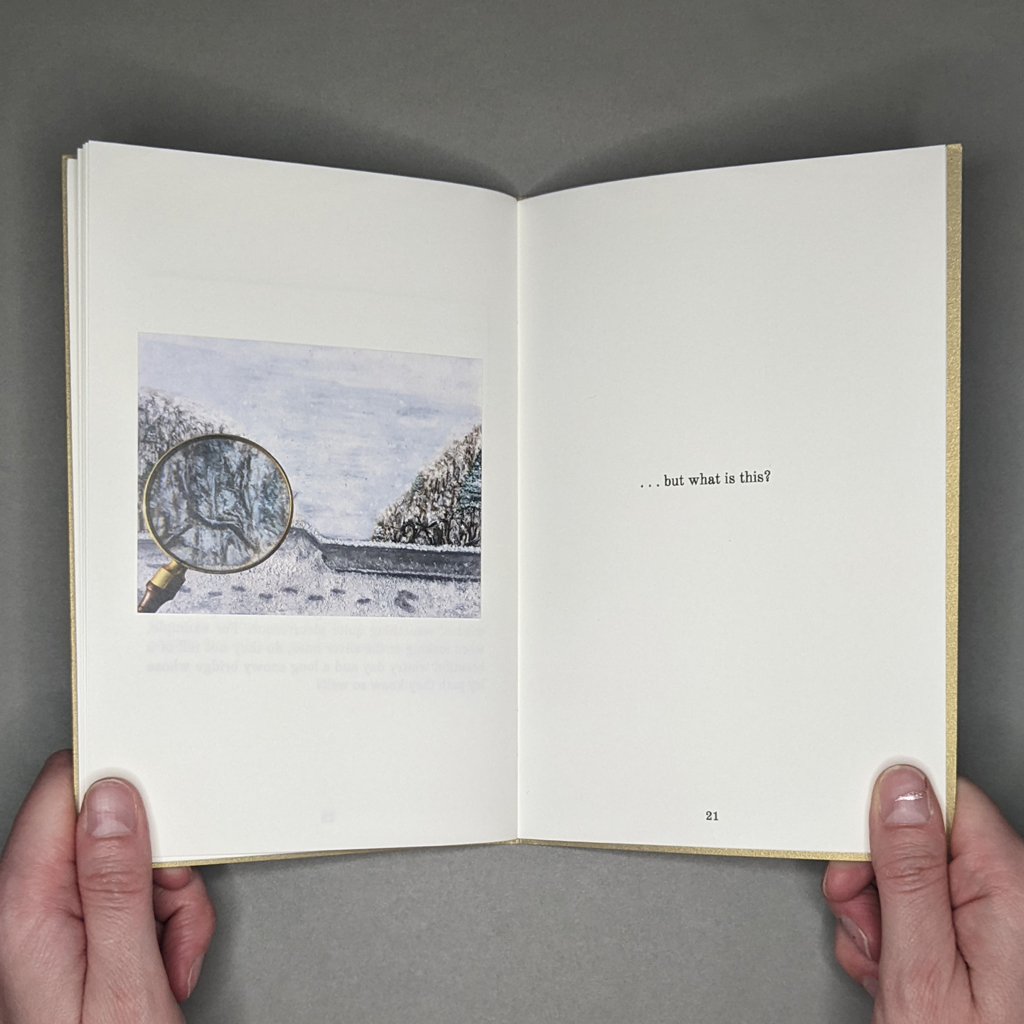 Curious Details in Postcards, pp 20-21. Verso: a painting of a winter landscape photographed through a magnifying glass. Recto: a line of text reads, "...but what is this?"