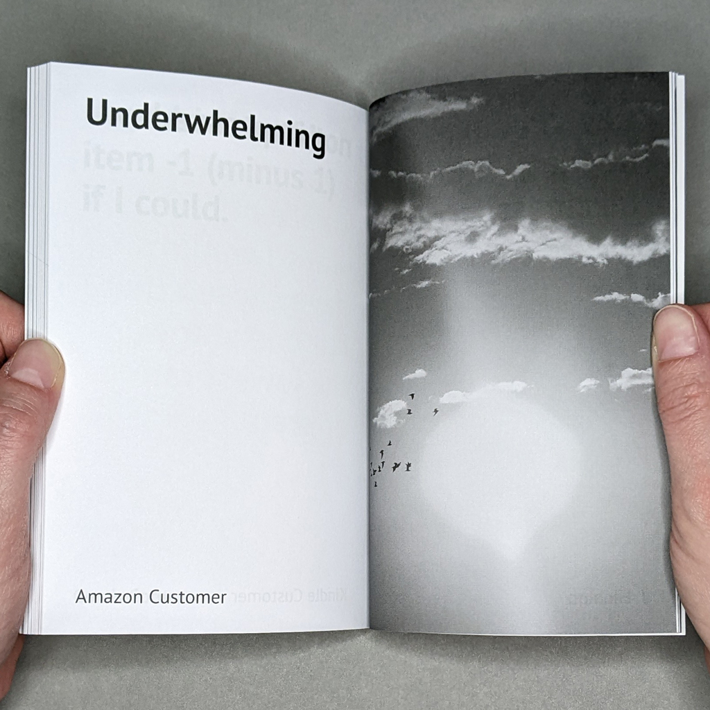 One Star inside spread. Verso reads: “Underwhelming” / Amazon Customer”. Recto: Grayscale stock photo of birds silhouetted as they fly in front of the Sun beneath wispy clouds