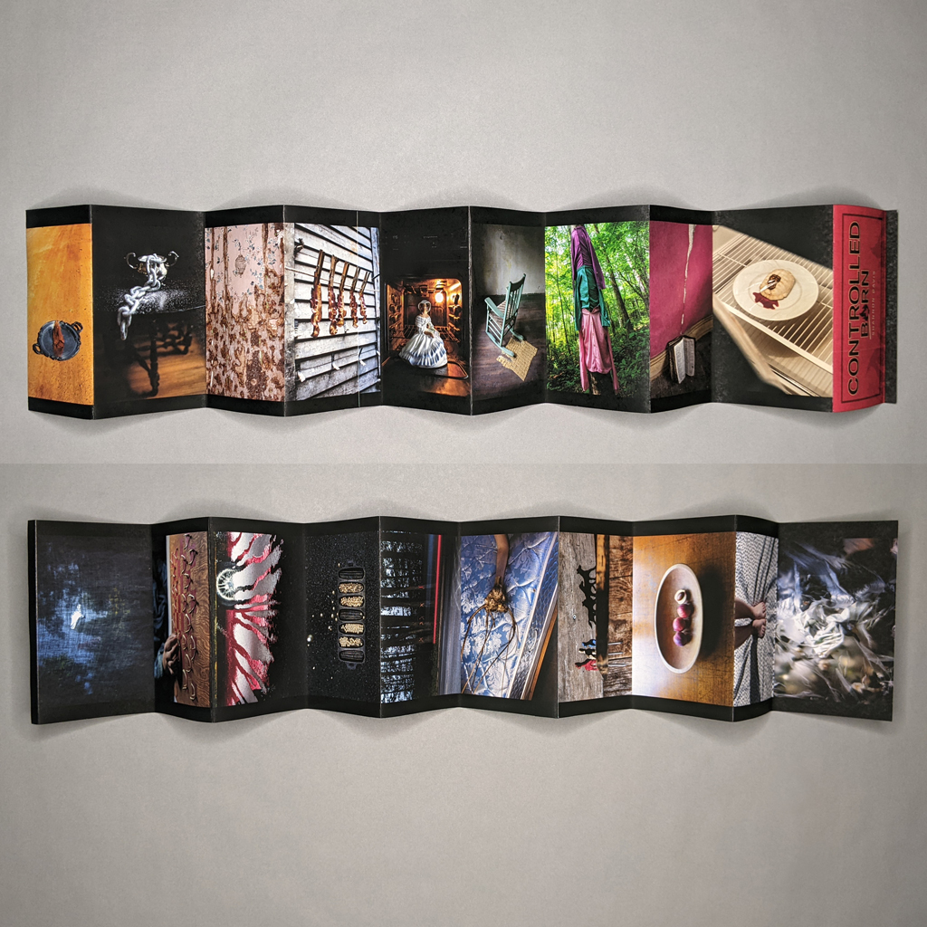 A composite image of both sides of the accordion book. On the top, which is the back of the accordion, the photographs are vertical. On the bottom, which is the front of the accordion, the photographs are horizontal. 